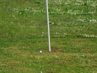 dsc3928